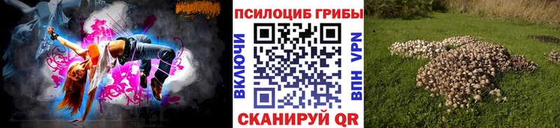 Галлюциногенные грибы Cubensis  Минусинск 